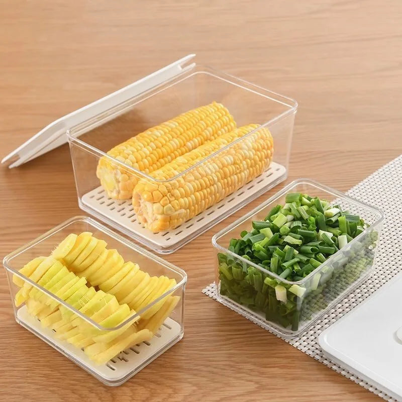 Sealed Food Storage Container