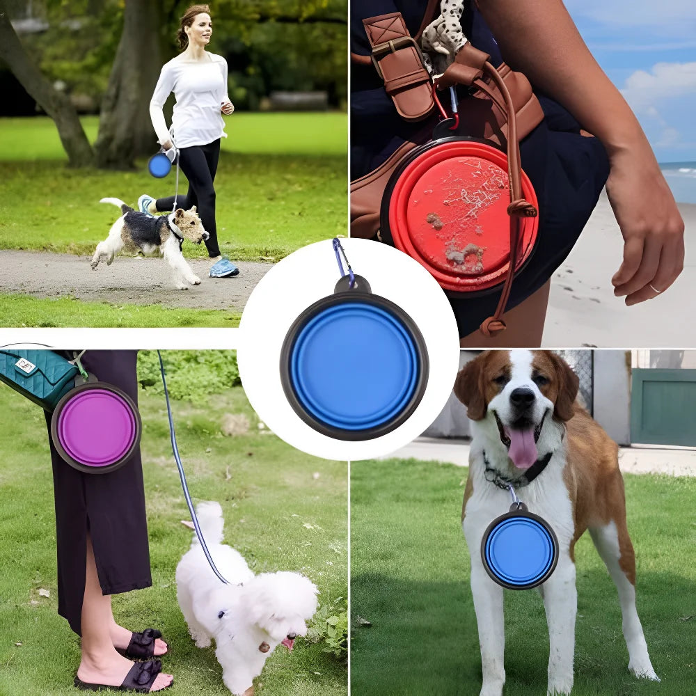 Collapsible Dog Travel Bowl