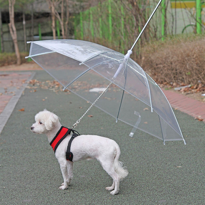 Leash with Umbrella