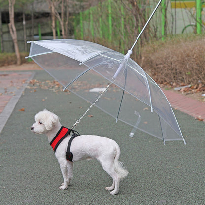Leash with Umbrella
