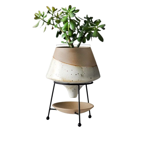 Ceramic Plant Pot